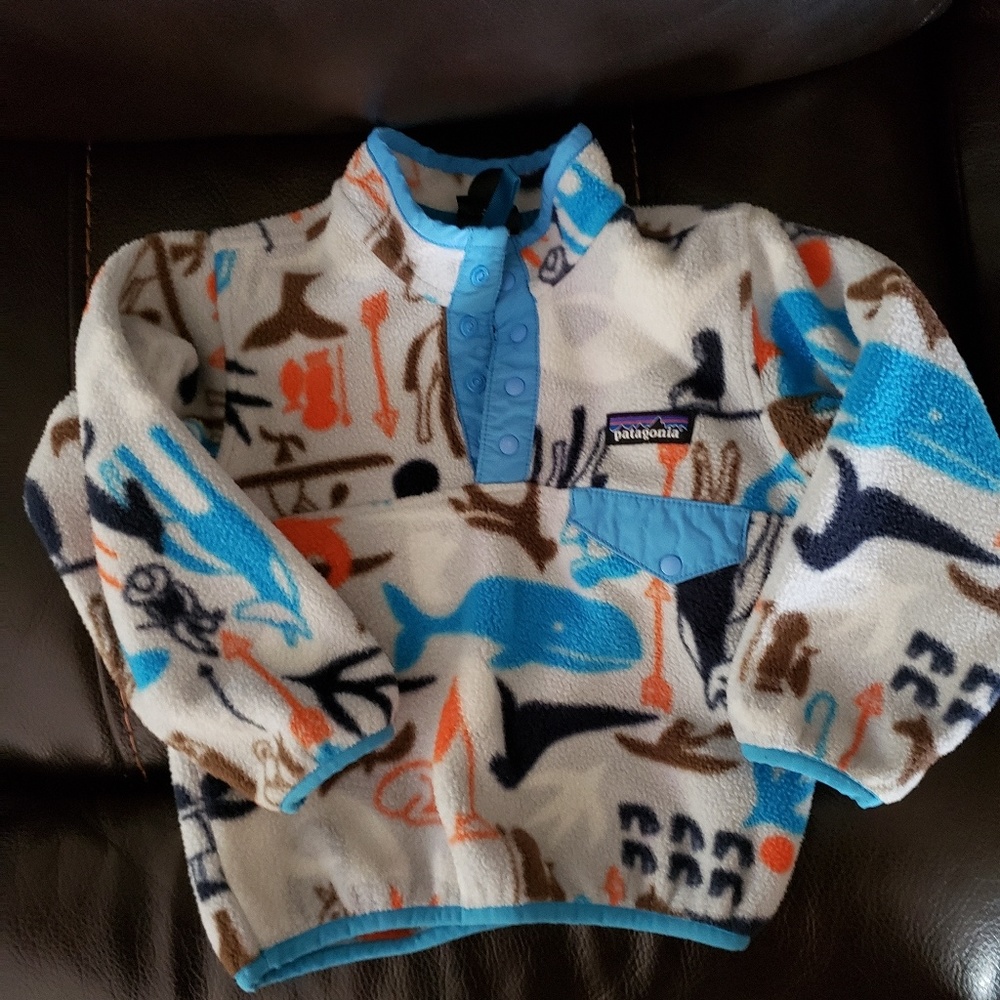 Patagonia pull over